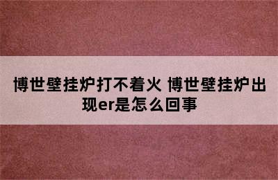 博世壁挂炉打不着火 博世壁挂炉出现er是怎么回事